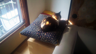 20111121-006.jpg
