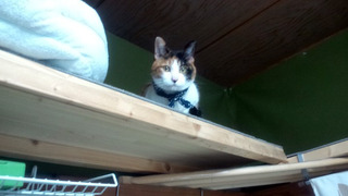 20120222-0002.jpg