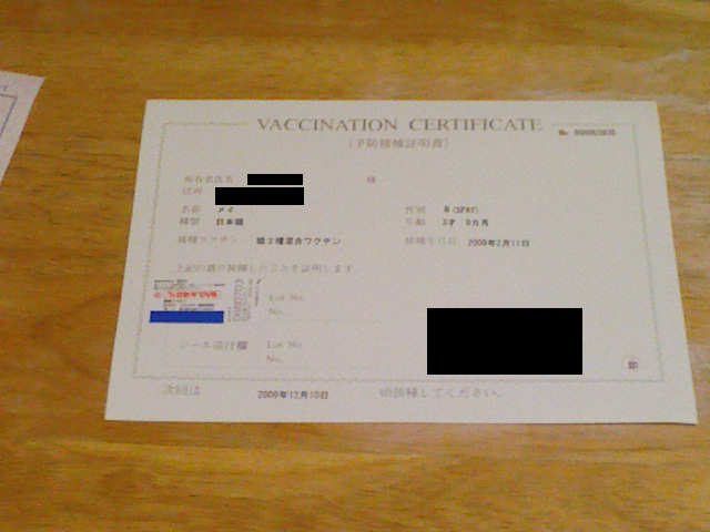 猫のワクチン接種（三種混合ワクチン）