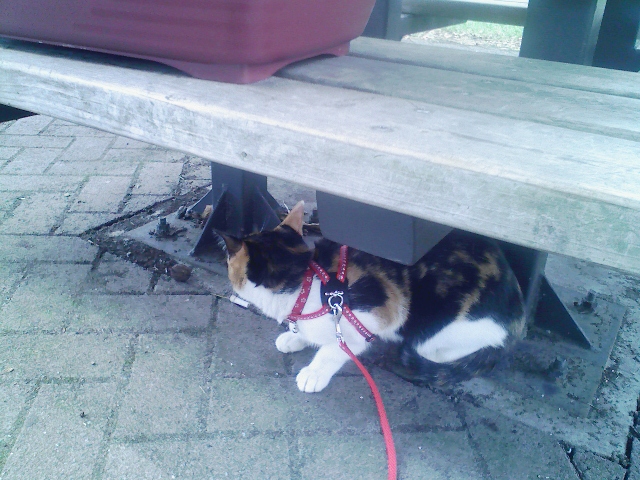 poundによる負荷分散その2