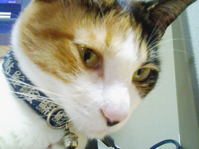 サーバー監視/2009-01-18