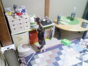 サーバー監視2009-01-18 2