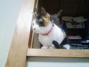 サーバー監視2009-01-18 1