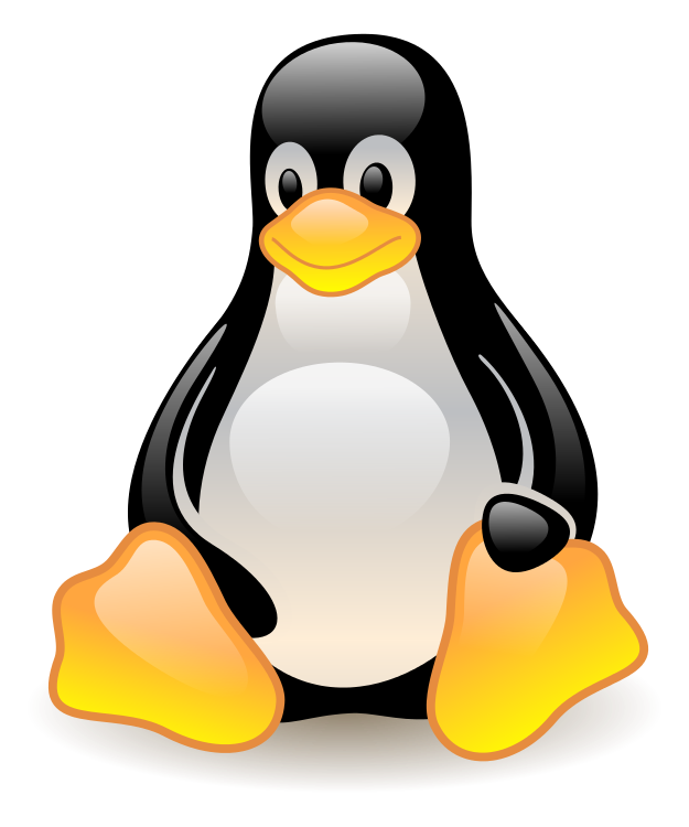 Linuxコマンドで-fオプションを付けても確認してくるのを回避する